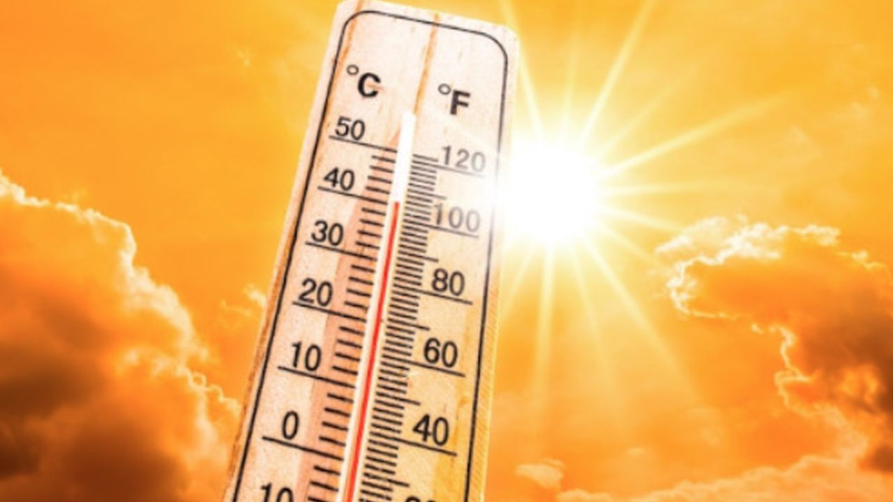 hottest-year