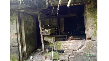 wild elephant attack