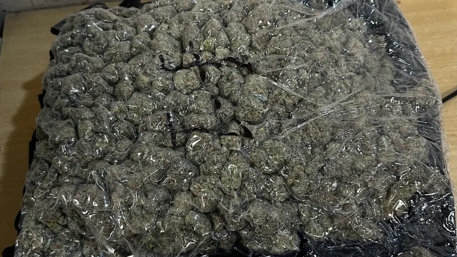 hydroponic weed