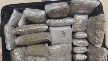hydroponic weed seized