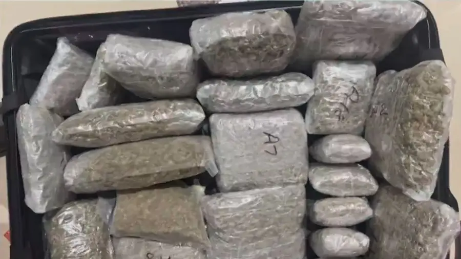 hydroponic weed seized
