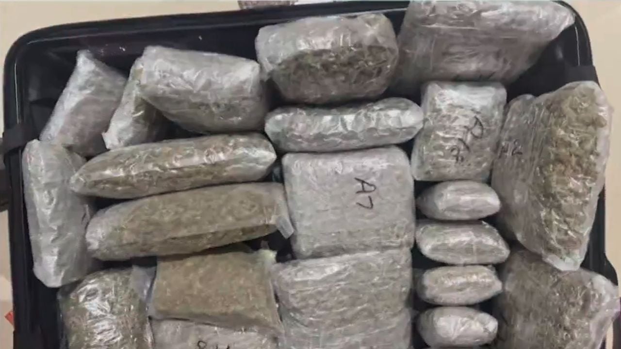hydroponic weed seized
