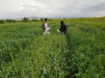 farming