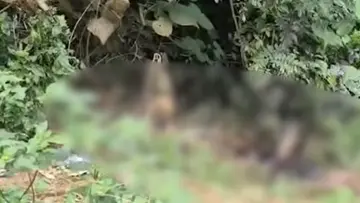 idukki