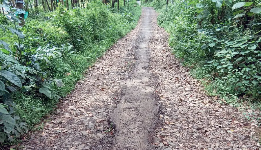 ilanji panchayath