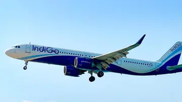 indigo