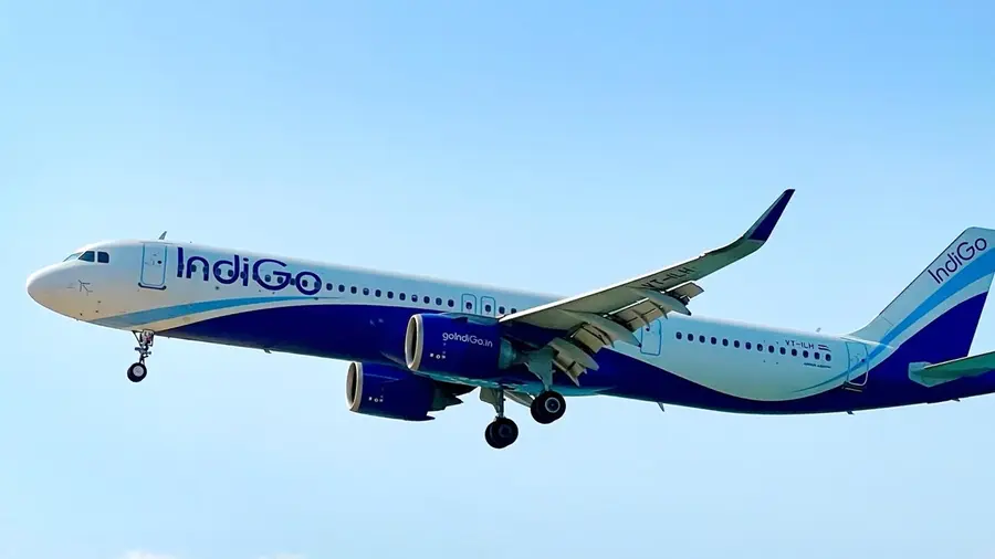 indigo