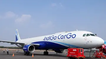 indigo