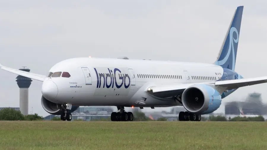 indigo