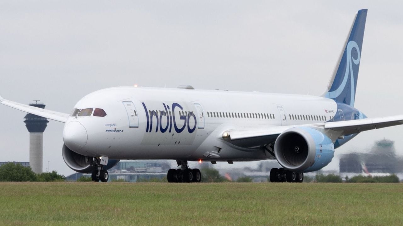 indigo