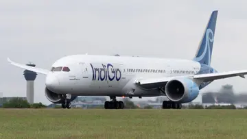 indigo