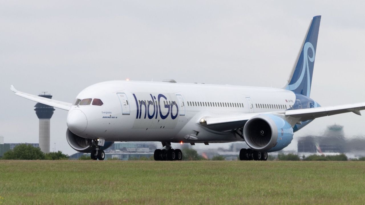 indigo