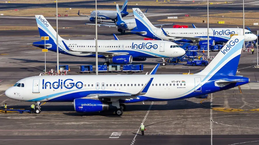 indigo