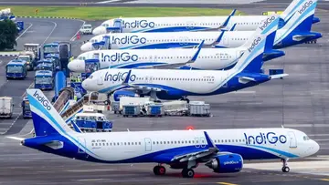 indigo 