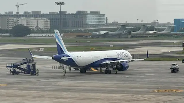 indigo