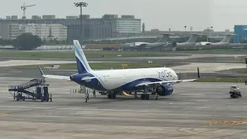 indigo