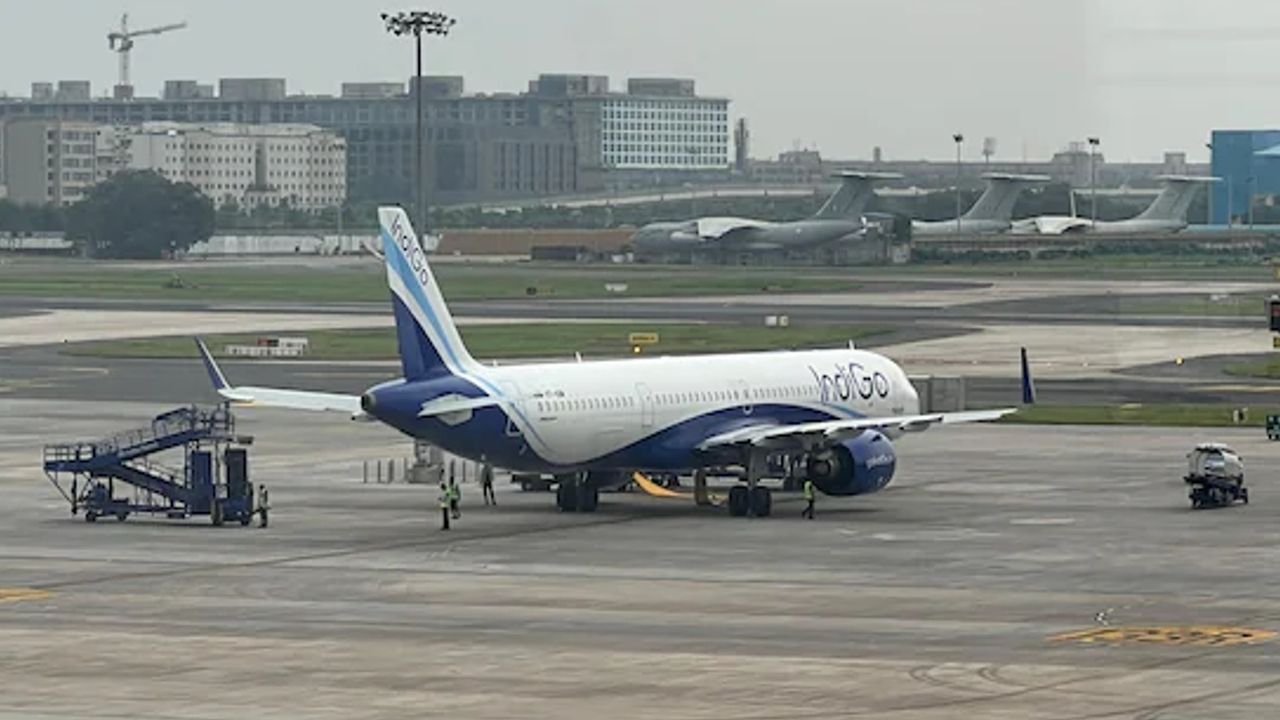indigo