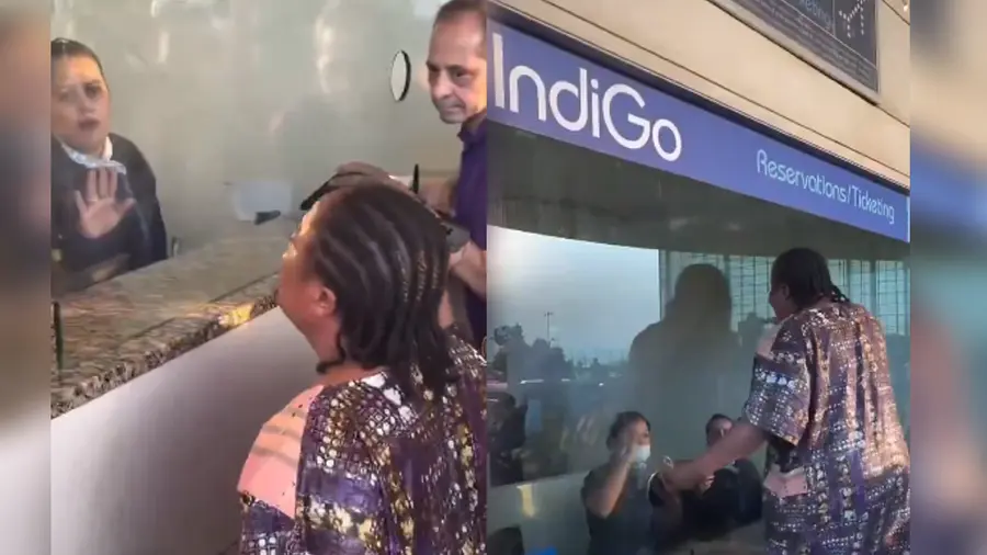 indigo counter