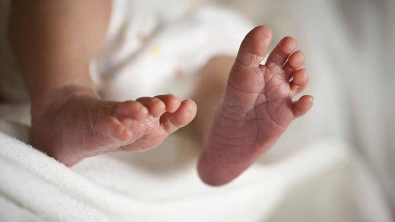 infant 