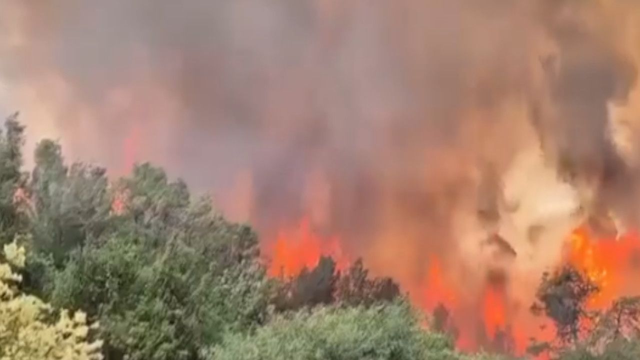 fire