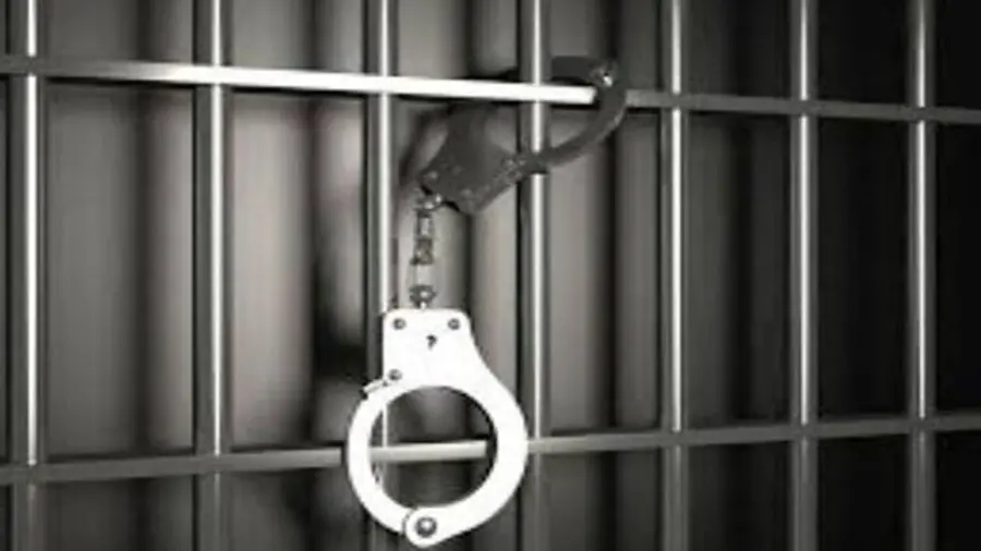 udf arrest