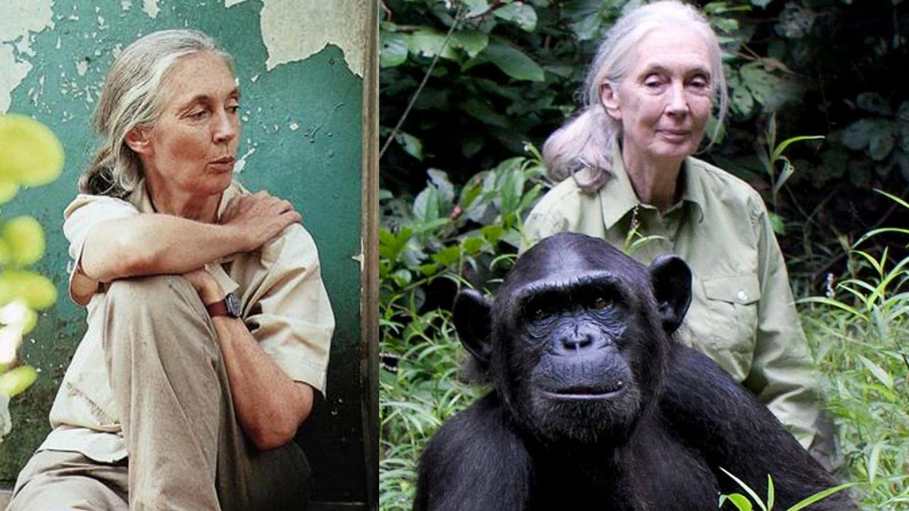 Jane Goodall