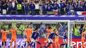 japan Netherlands match