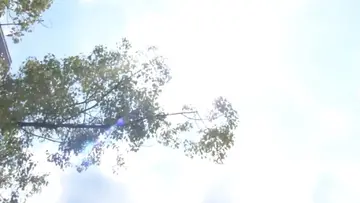 japan heatwave
