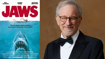 jaws