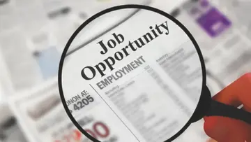 job opportunity.jpg