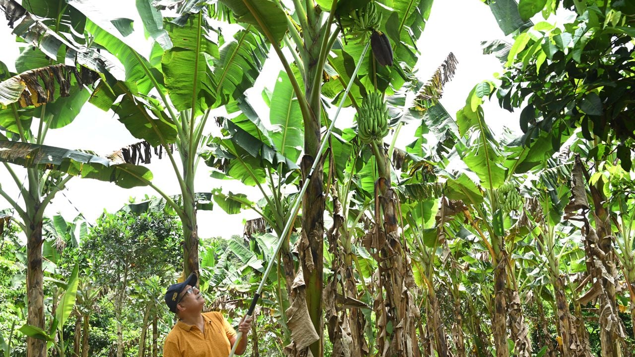 jose chacko periappuram