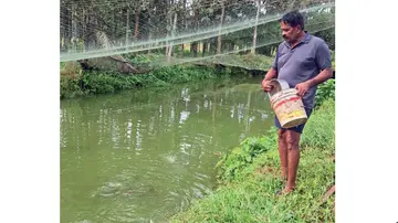 Fish farming