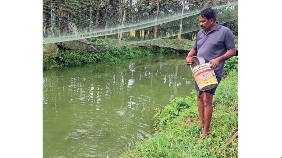 Fish farming
