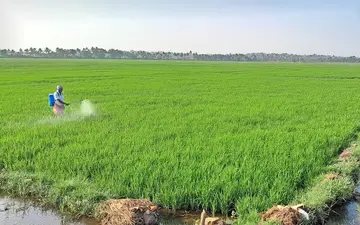 ‘pathinettaamathe vayasil nelkrishiyilekku irangiyathaa, ikkaalamathrayum krishiyaanu’ jeevan.