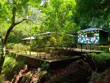 ഇടിമുഴങ്ങാൻപറ ക്യാമ്പ്ഷെഡ് 