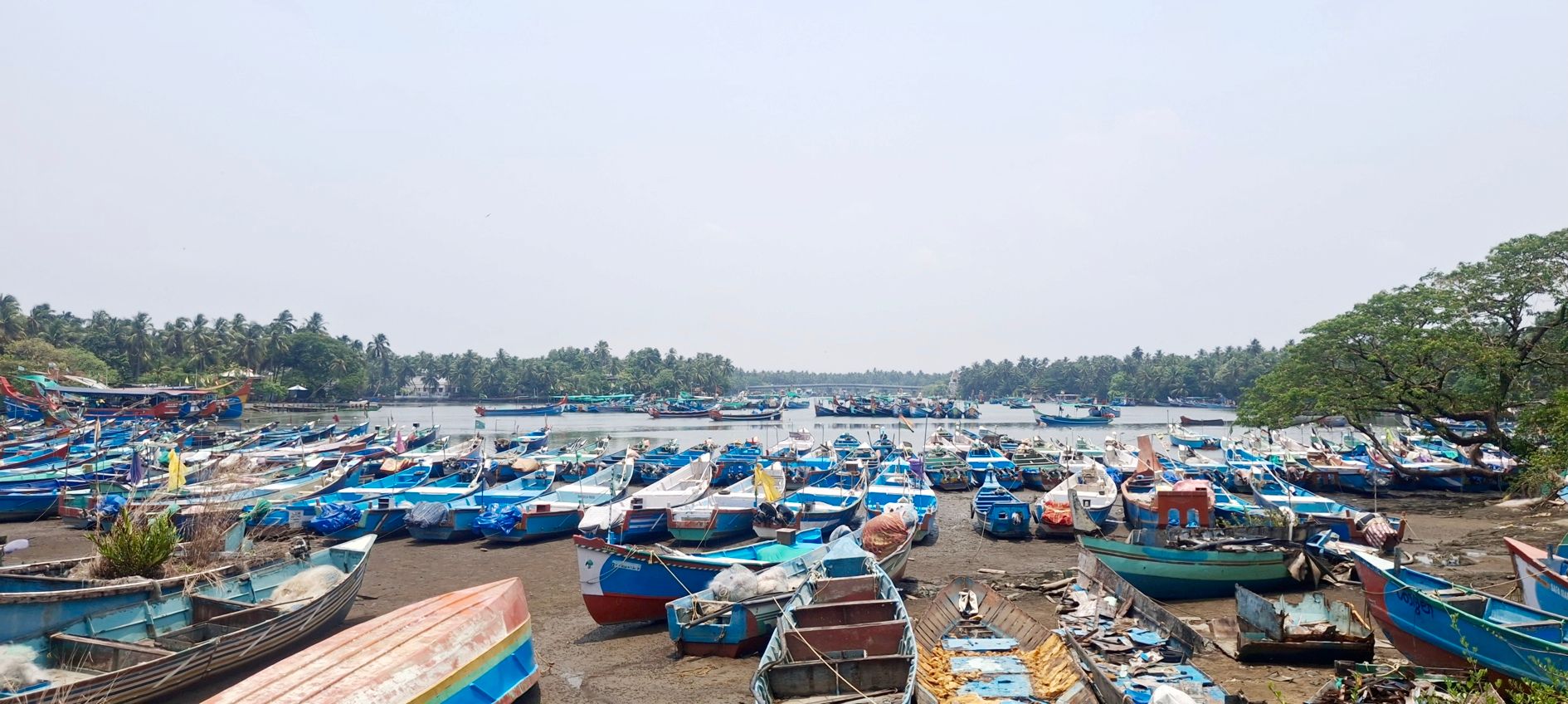  കനത്ത ചൂടും മത്സ്യദൗർലഭ്യവും കാരണം ചാലിയത്ത് കരയ്ക്ക് കയറ്റിയിട്ട വള്ളങ്ങൾ