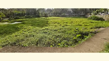 കാടുമൂടി കിടക്കുന്ന  ചെമ്പഴന്തി ചാരിയാട്ട് കുളം