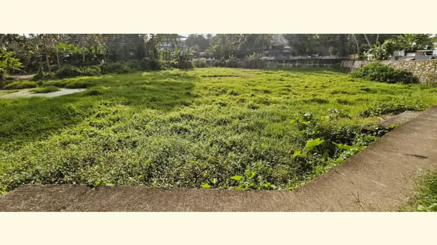 കാടുമൂടി കിടക്കുന്ന  ചെമ്പഴന്തി ചാരിയാട്ട് കുളം