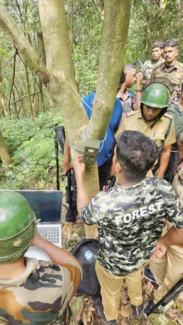 കടുവയെ പിടികൂടാനായി കാമറകൾ മാറ്റിസ്ഥാപിക്കുന്നു