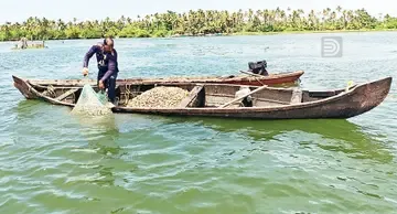 അഷ്ടമുടിക്കായലിൽ പൂവൻ കക്ക വാരലിൽ ഏർപ്പെട്ടിരിക്കുന്ന തൊഴിലാളി