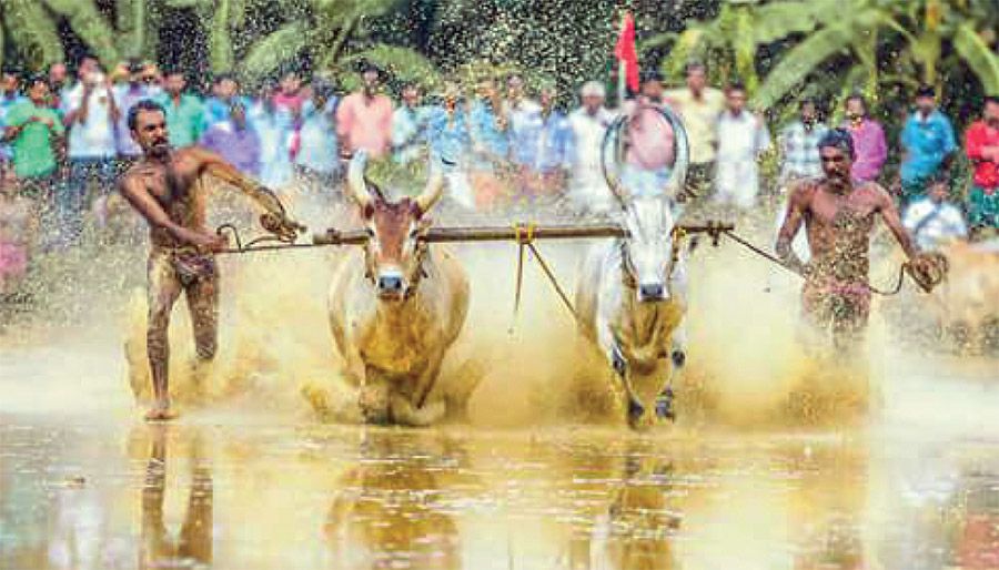 kakkoor kalavayal