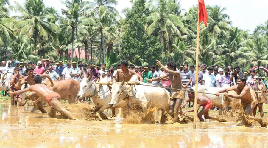 kakkoor kalavayal