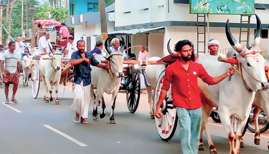 Kakkoor Kalavayal