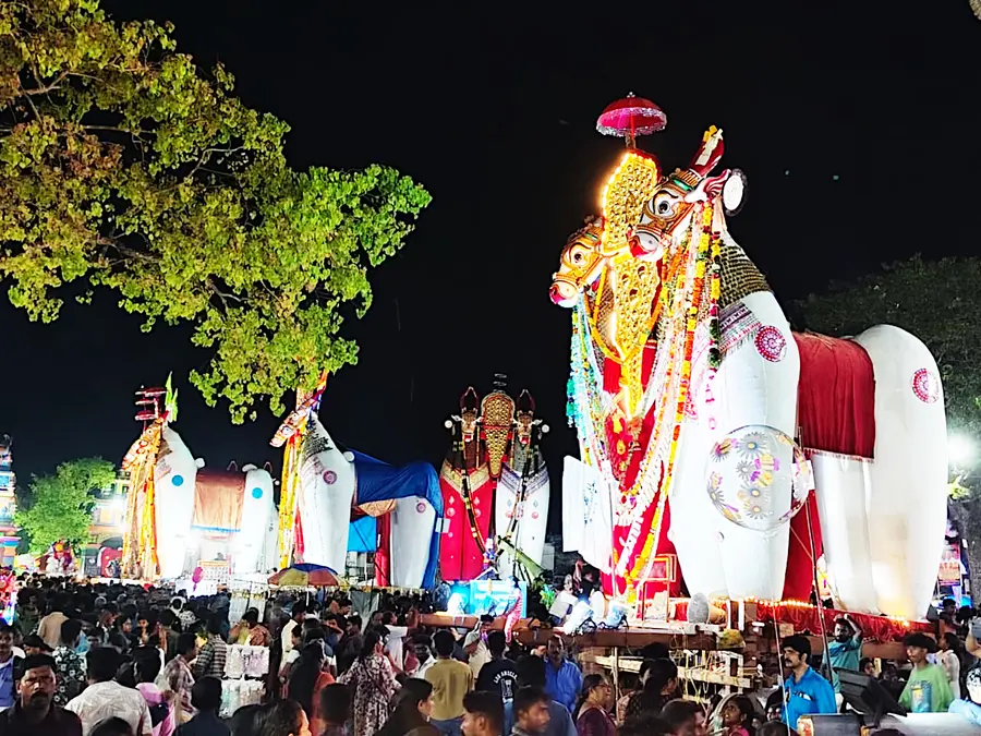 ഓച്ചിറ പരബ്രഹ്മക്ഷേത്രത്തിലെ കാളകെട്ട് ഉത്സവത്തിൽ പടനിലത്ത് കെട്ടുകാളകൾ അണിനിരന്നപ്പാൾ