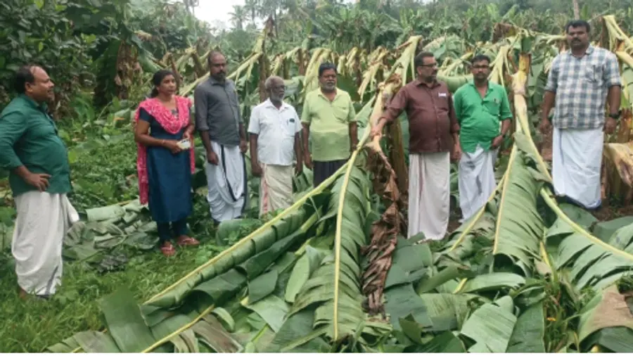 Crop loss