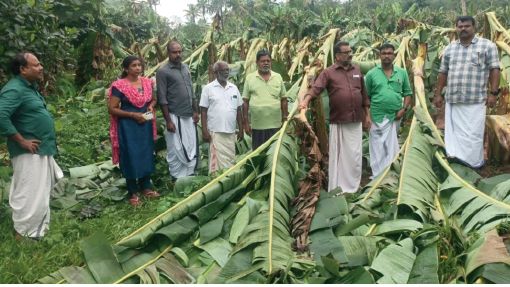 Crop loss
