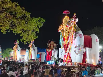 വലിയ കെട്ടുകാളകൾ ക്ഷേത്ര വളപ്പിലേക്ക് പ്രവേശിച്ചപ്പോൾ 