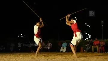 kalaripayattu
