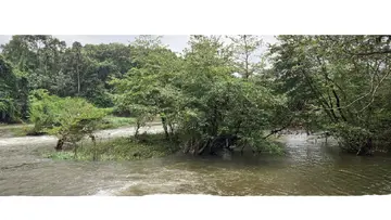 Islets in the Kaliyar River