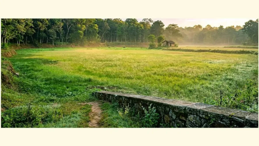 Kallakkulam